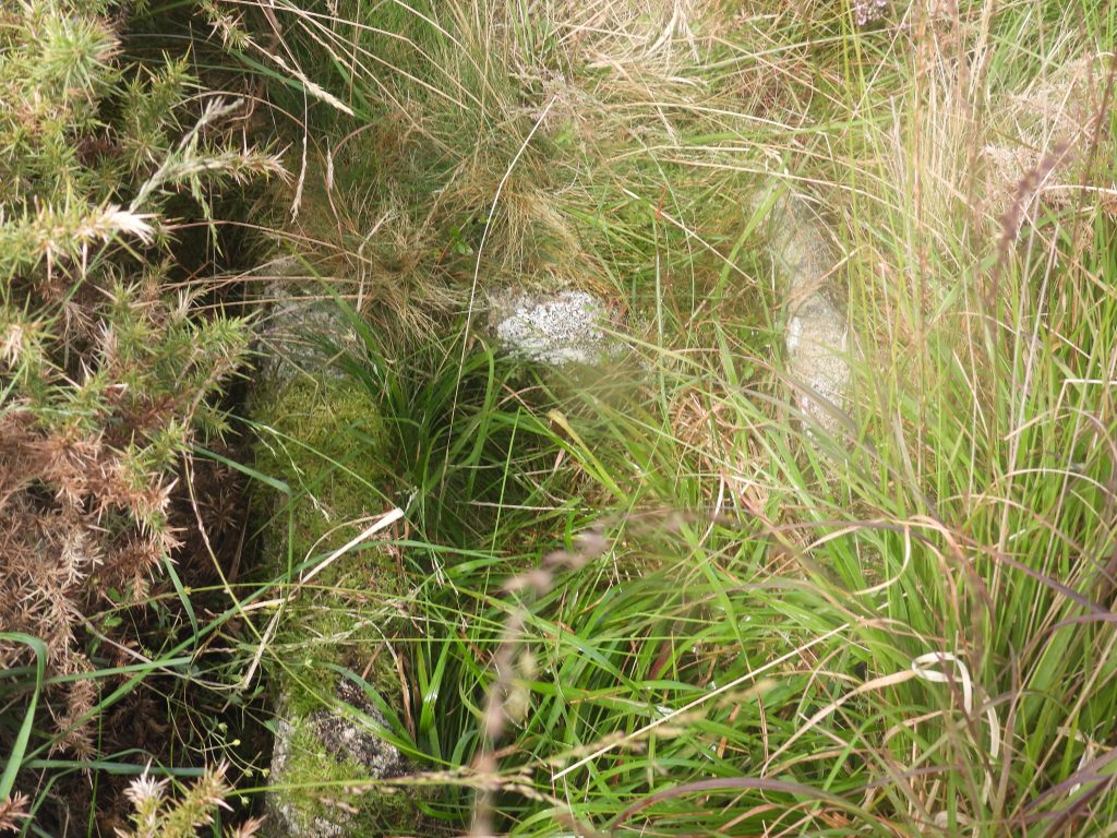 4c. Cairn and Cist 1