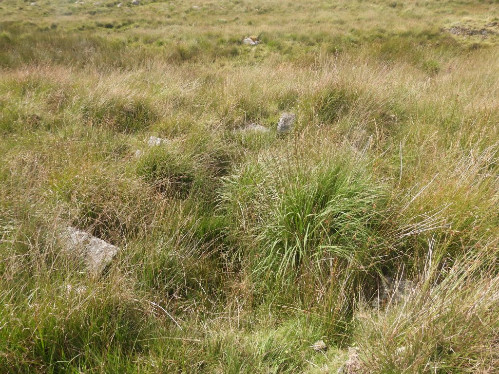 4c. Tinners Hut 4