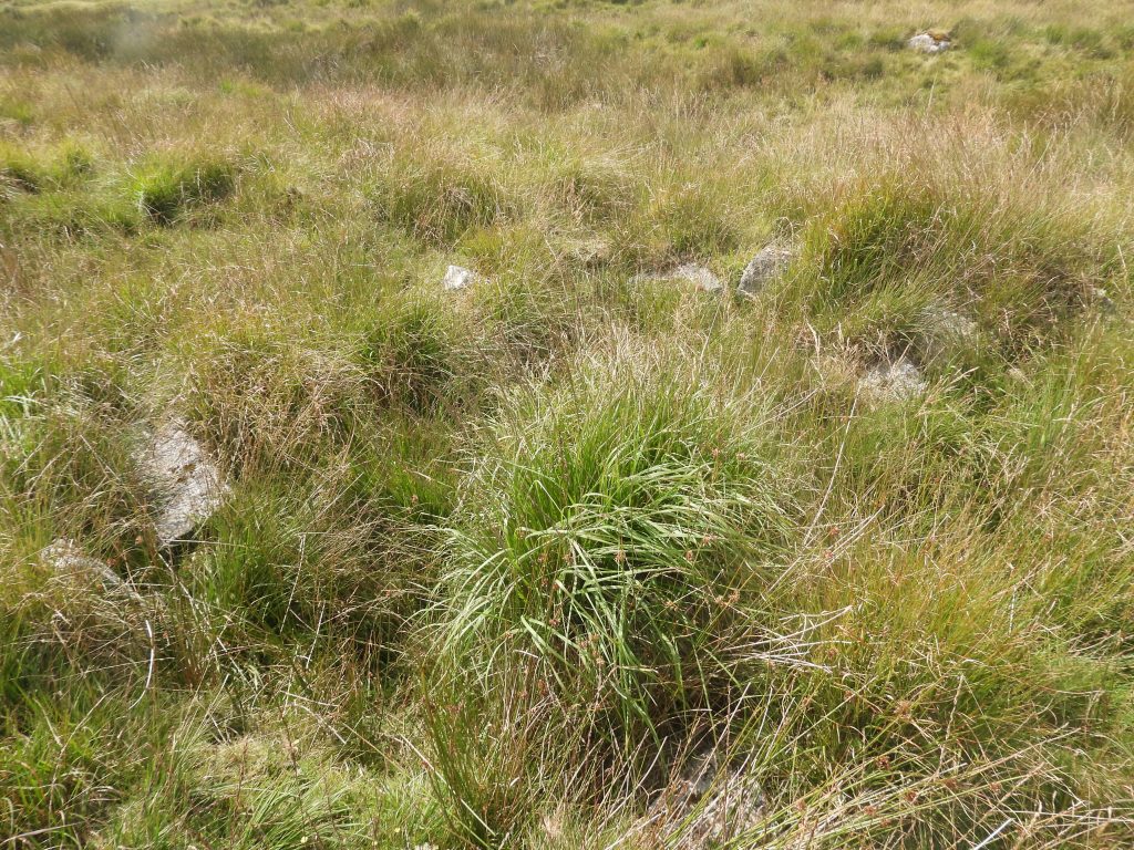 4d. Tinners Hut 4