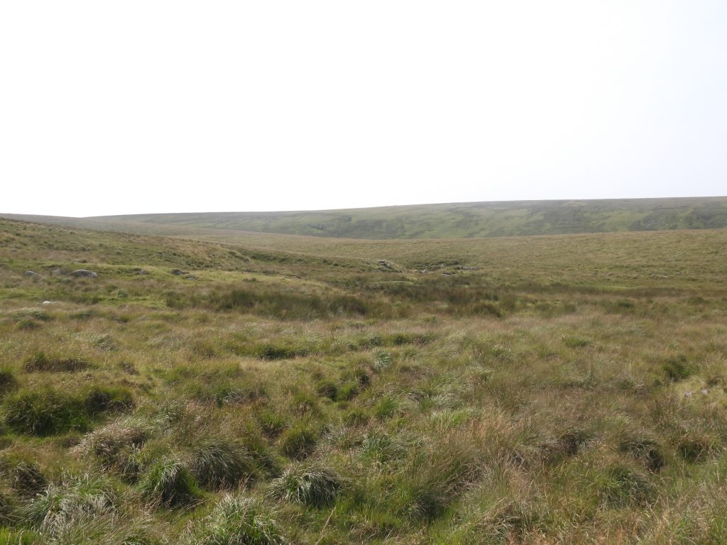 5a. Kneeset Nose