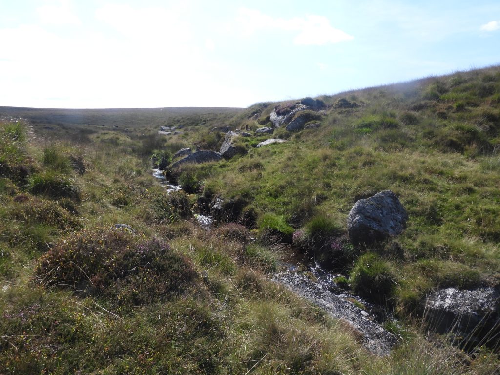 5a. Steeperton Brook
