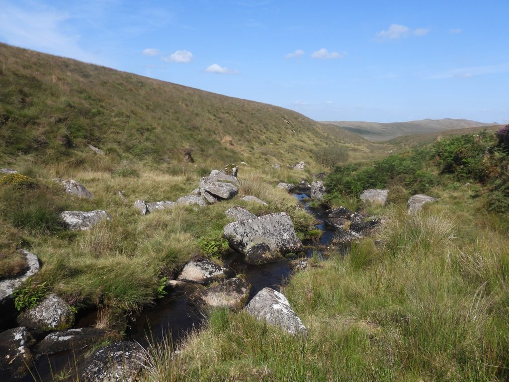 5c. Steeperton Brook