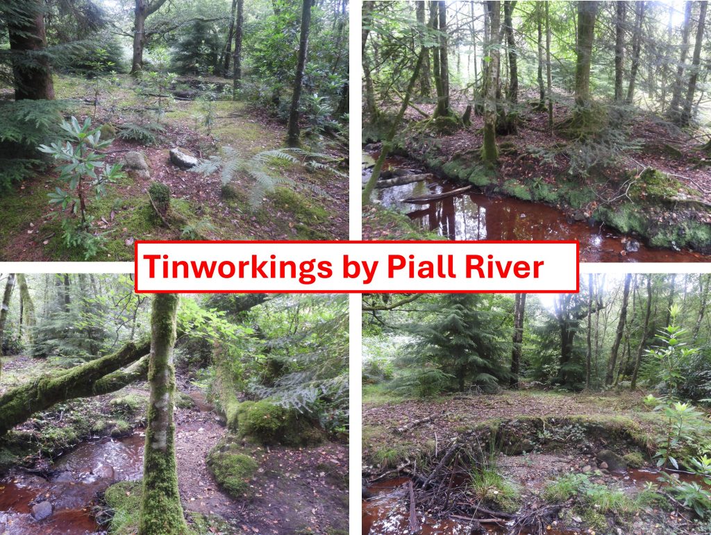 6. Tinworkings by Piall River