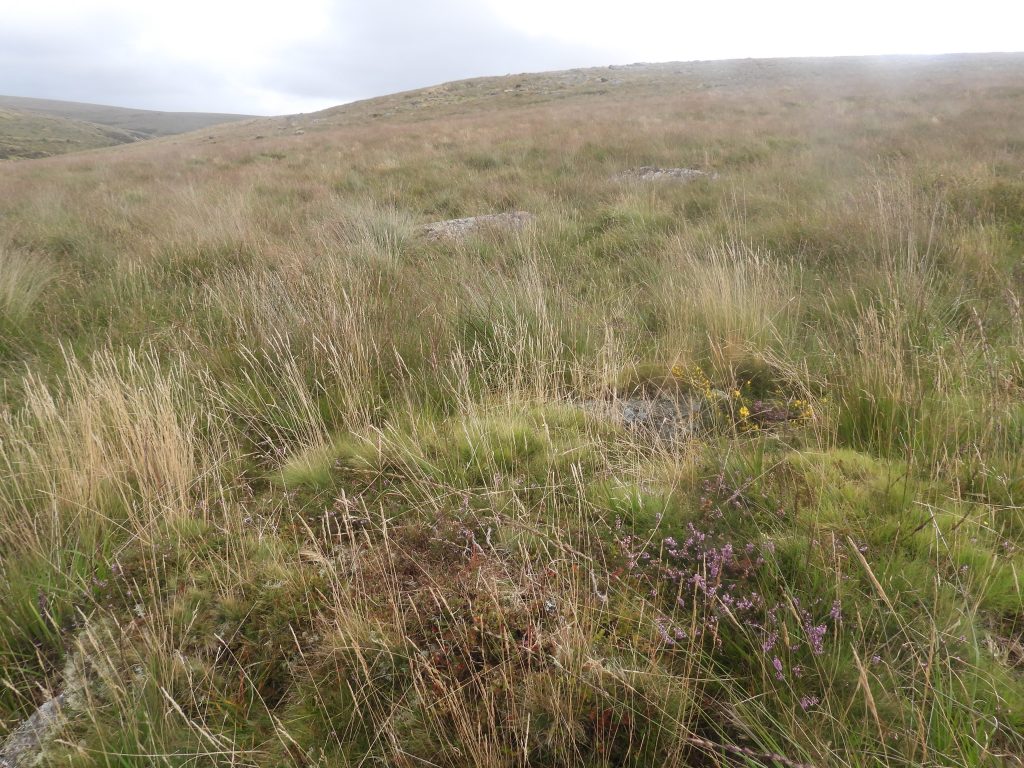 6a. Cairn and Cist 3