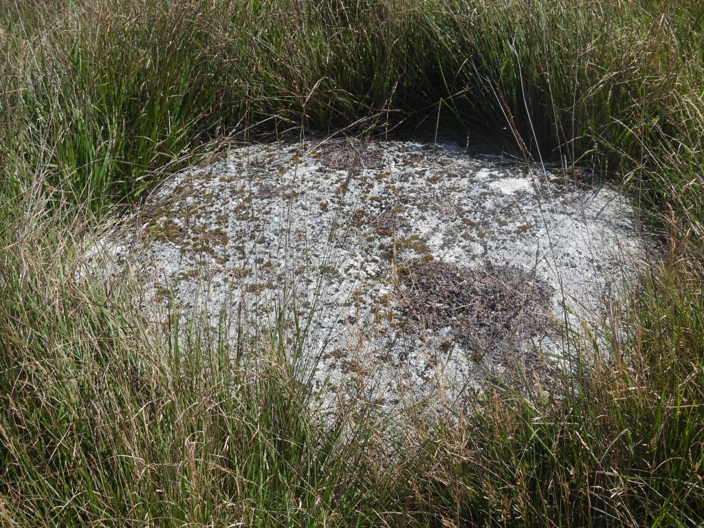 6b. Millstone 2