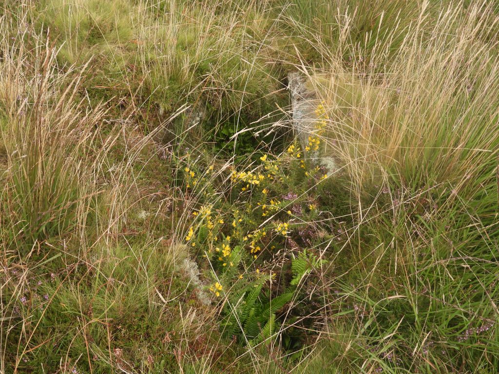 6c. Cairn and Cist 3