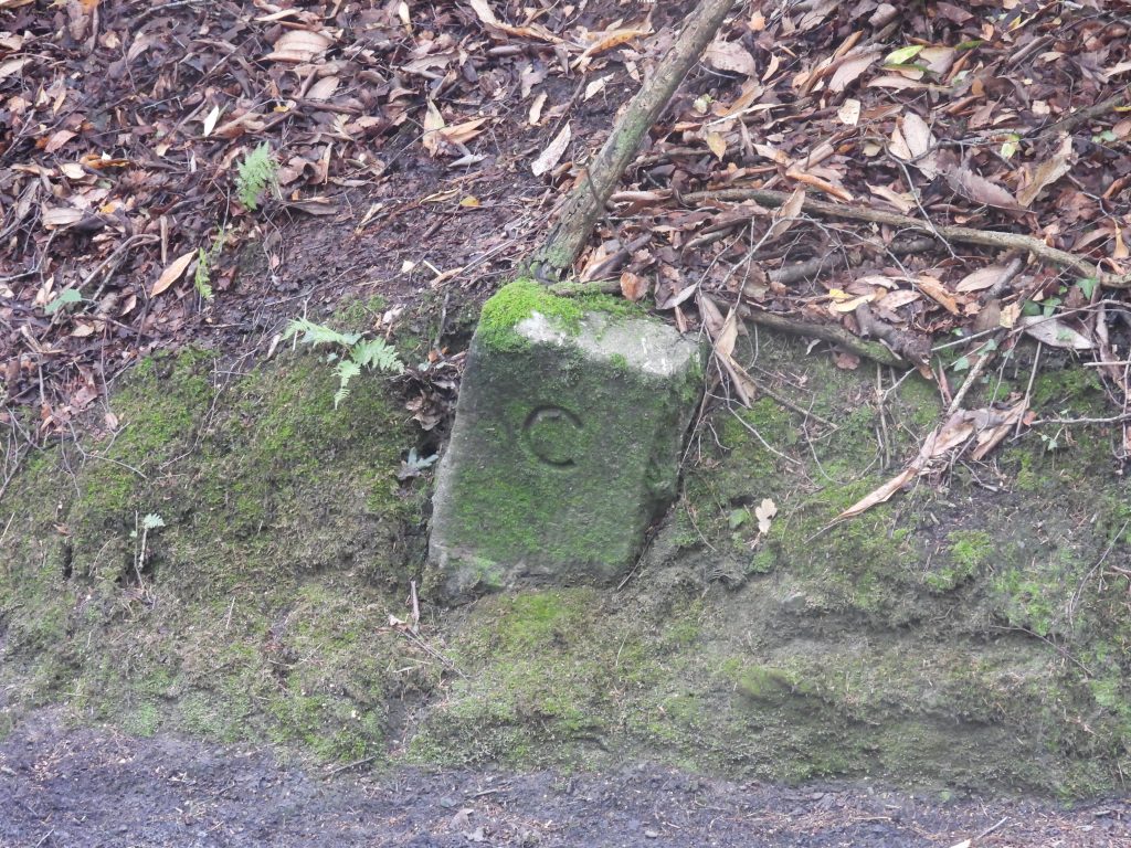 7. C Stone West a