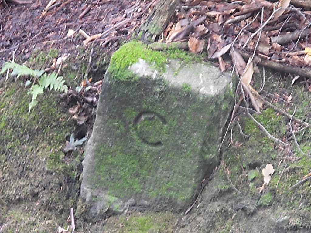 7. C Stone West d