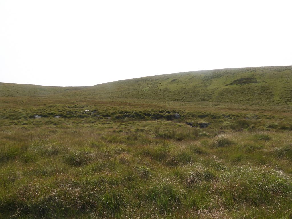 7. Jackmans Bottom b