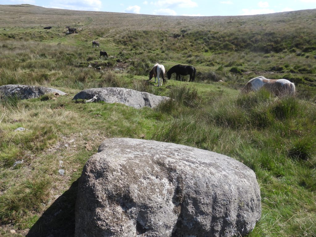 7b. Millstone 3