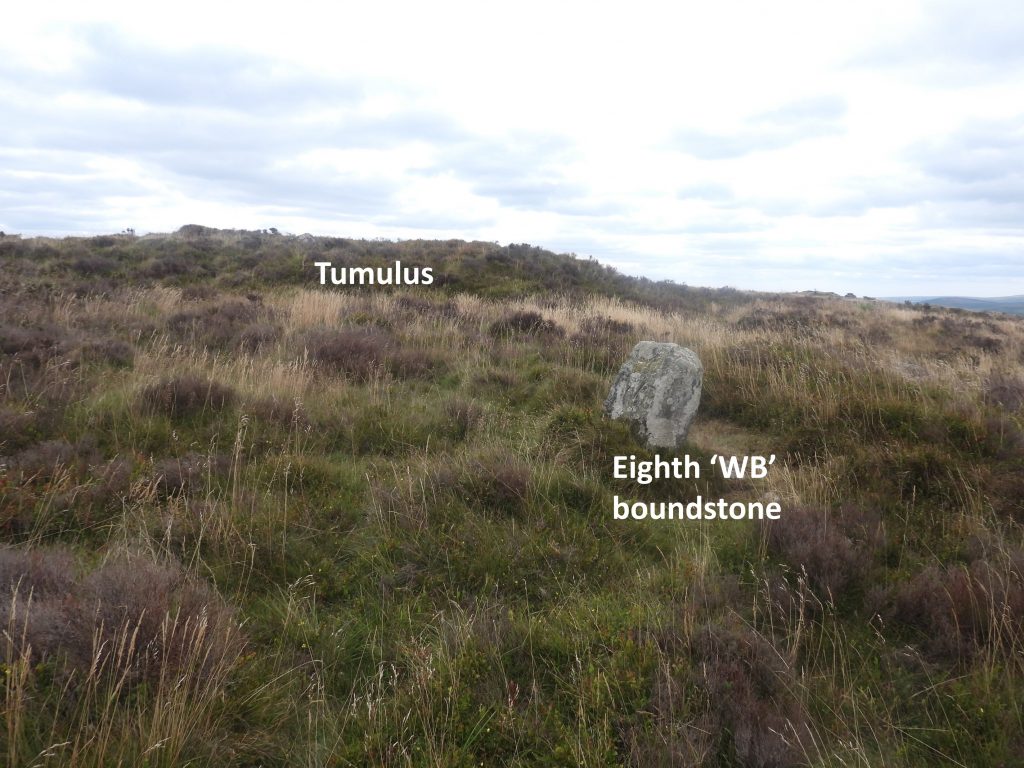7z. Tumulus 1