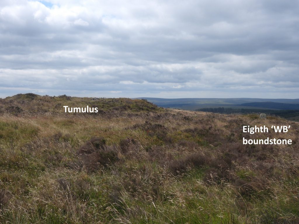 7z. Tumulus 2
