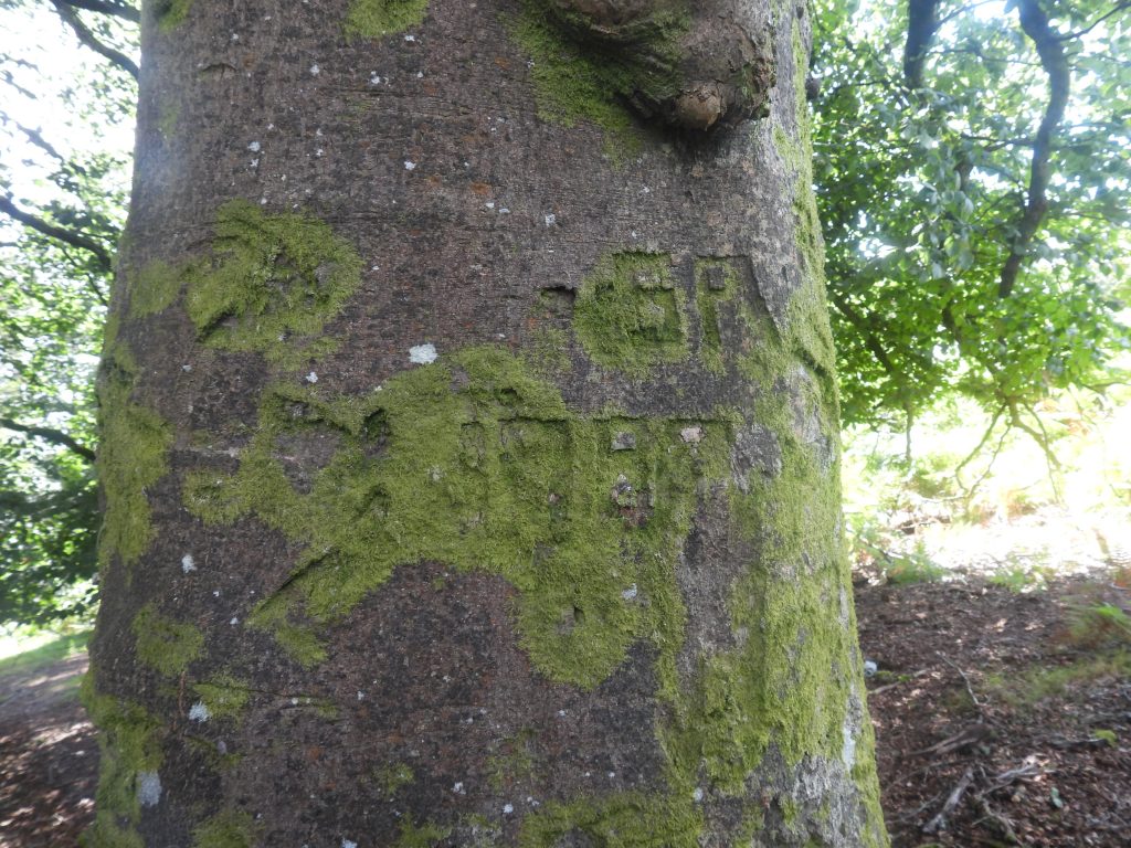 8. Incised Dates
