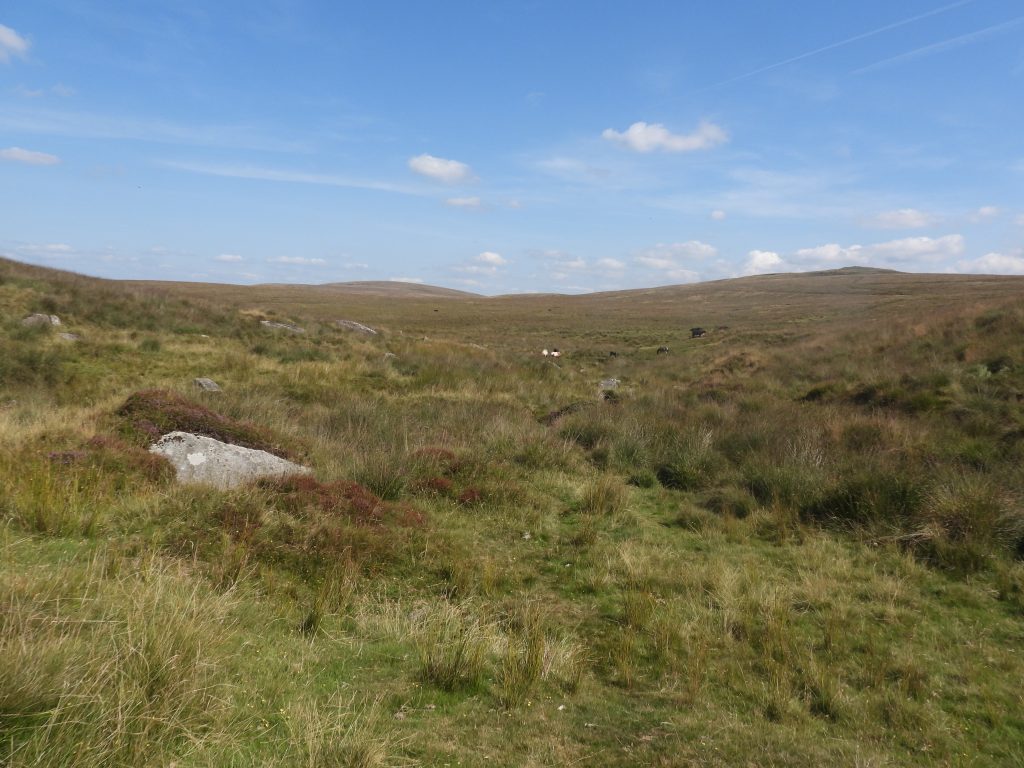 8. View