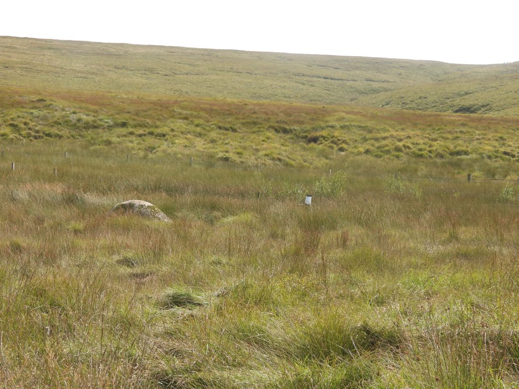 9. Isolated Boulder b