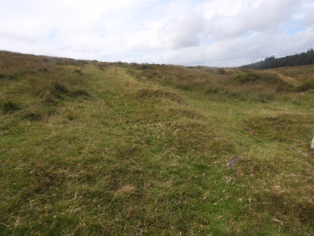 9. Medieval Bank and Ditch