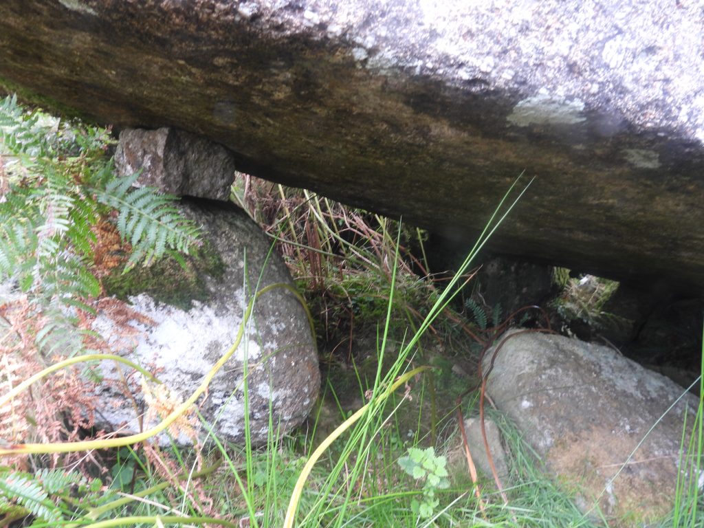 13. Cache 4c