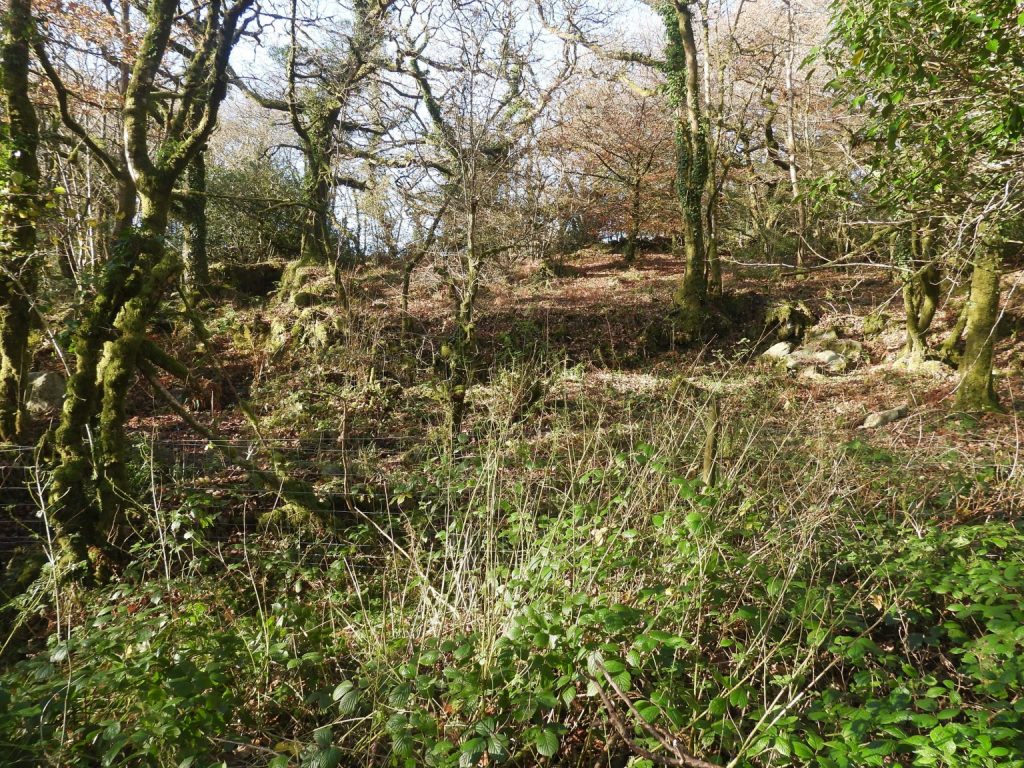 2. Mill Site in Winter