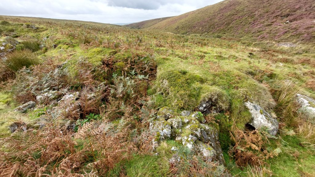 2. Tinners Hut 1a