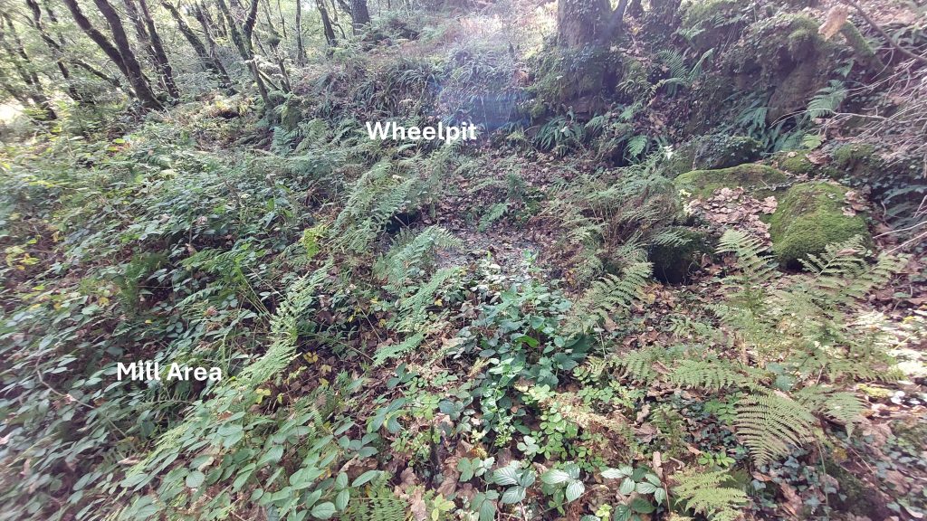 2. Wheelpit and Mill