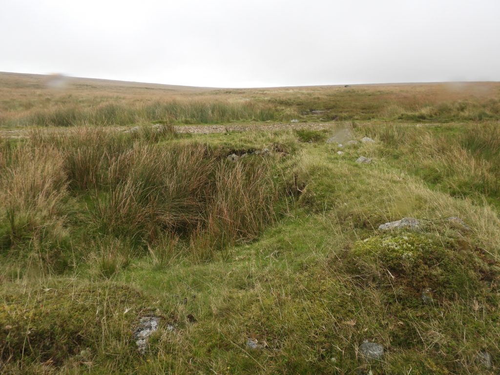 21. Tinners Hut 3a