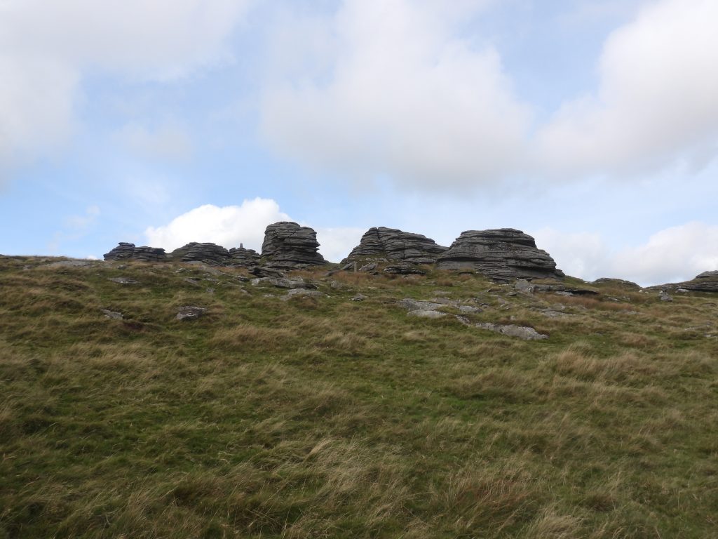 24. Great Links