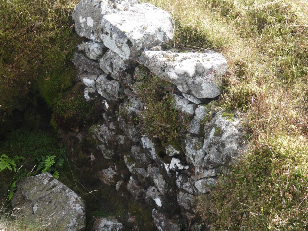 29. Tinners Hut 5c