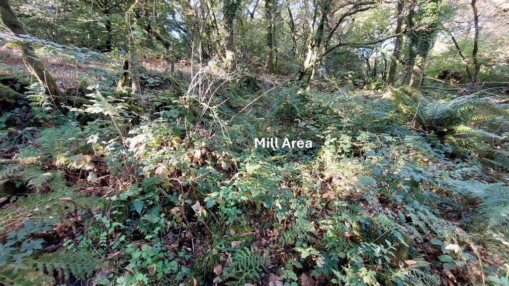 3. Mill Area