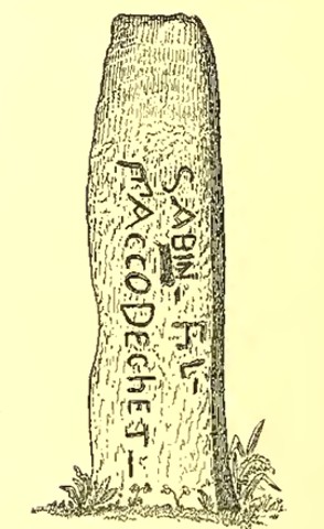 3. Sabini fili maccodecheti