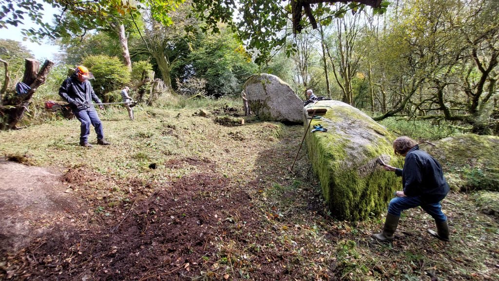 30d. Brush Clearance