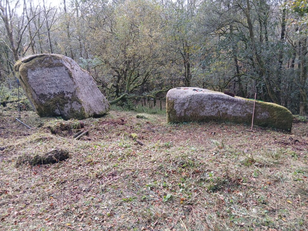 30j. Brush Clearance - Dell