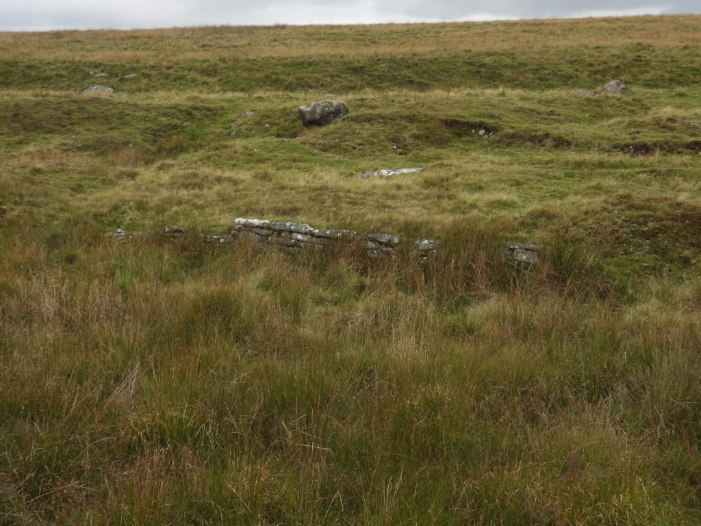 33. Revetment wall