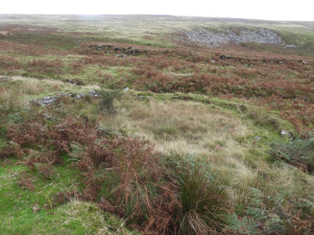 35. Wheal Frederick d