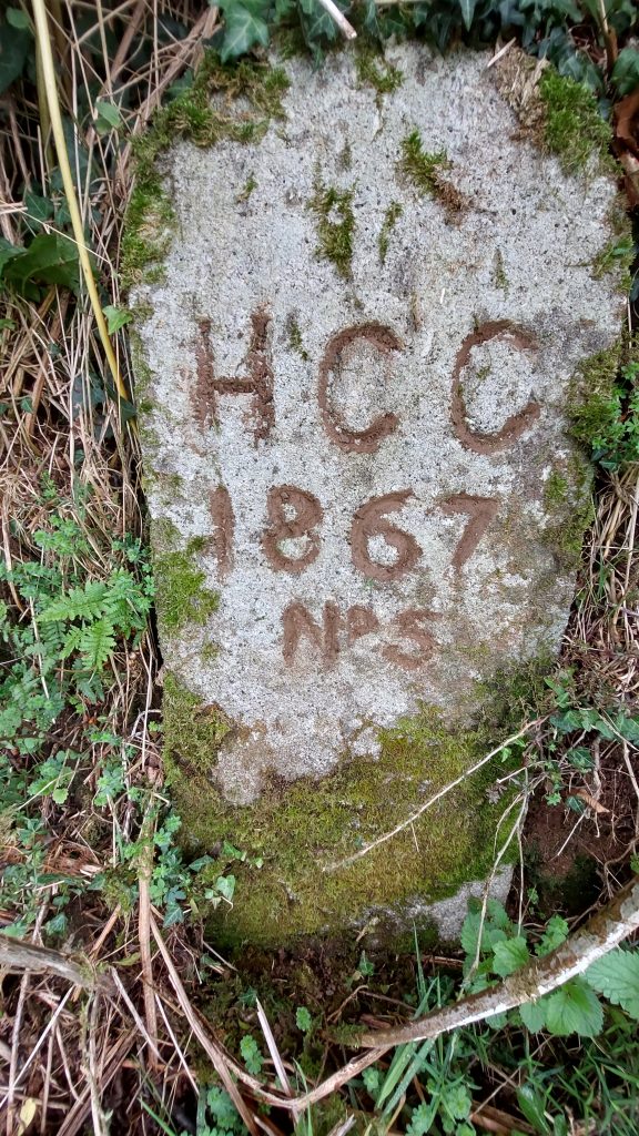 5. HCC 5e