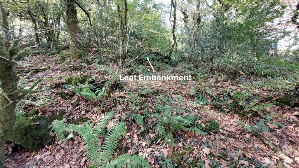 5. Leat Embankment