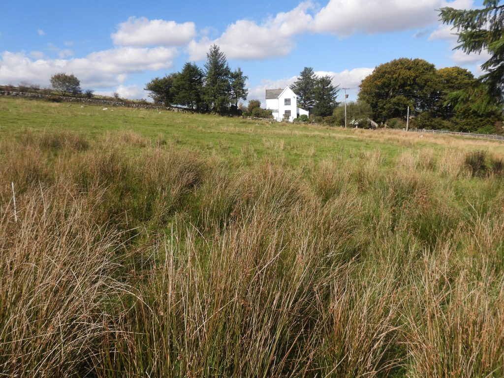 6. Old Shaft - site of