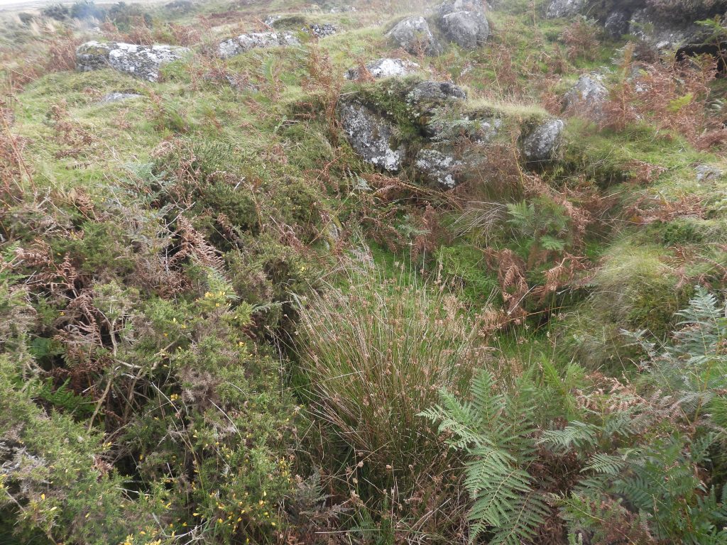 6. Tinners Hut 2a