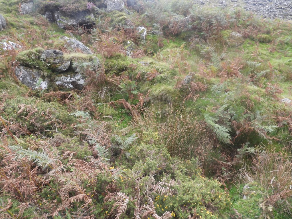 6. Tinners Hut 2b