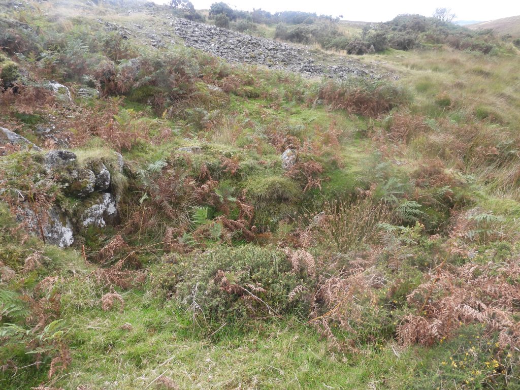 6. Tinners Hut 2c