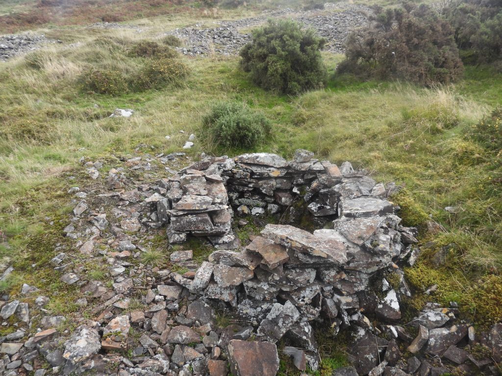 7. Little Structure