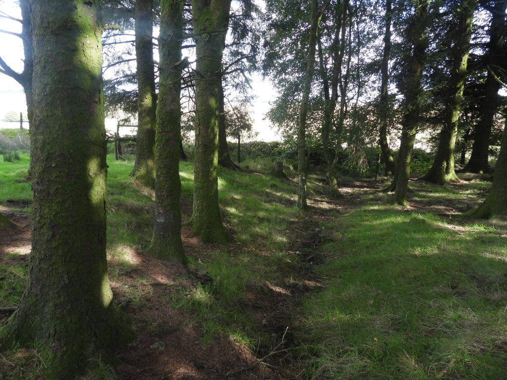 7. Run off from Old Shaft