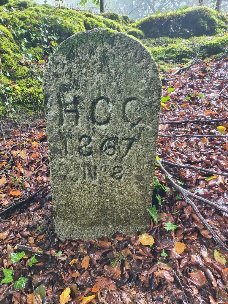 8. HCC 8c