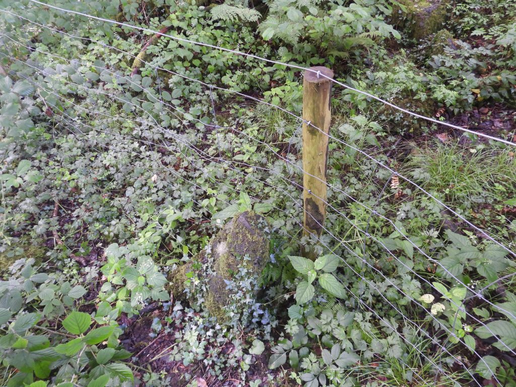 8b. Old Boundary Stone