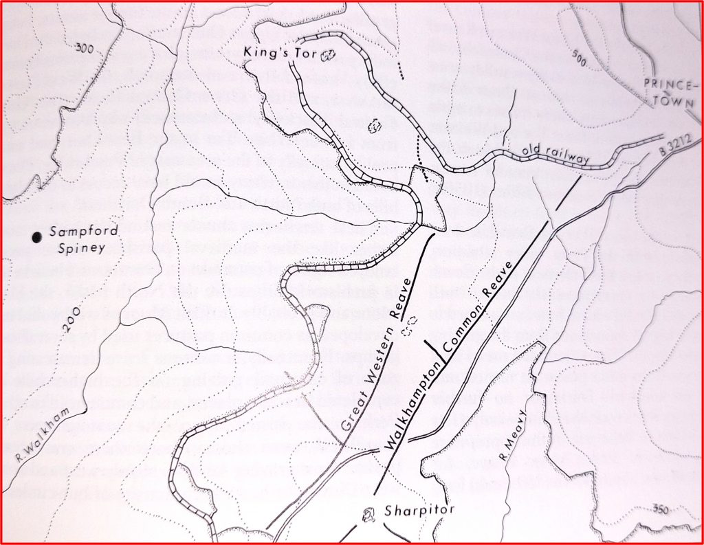 0. Walkhampton Common Reave Map