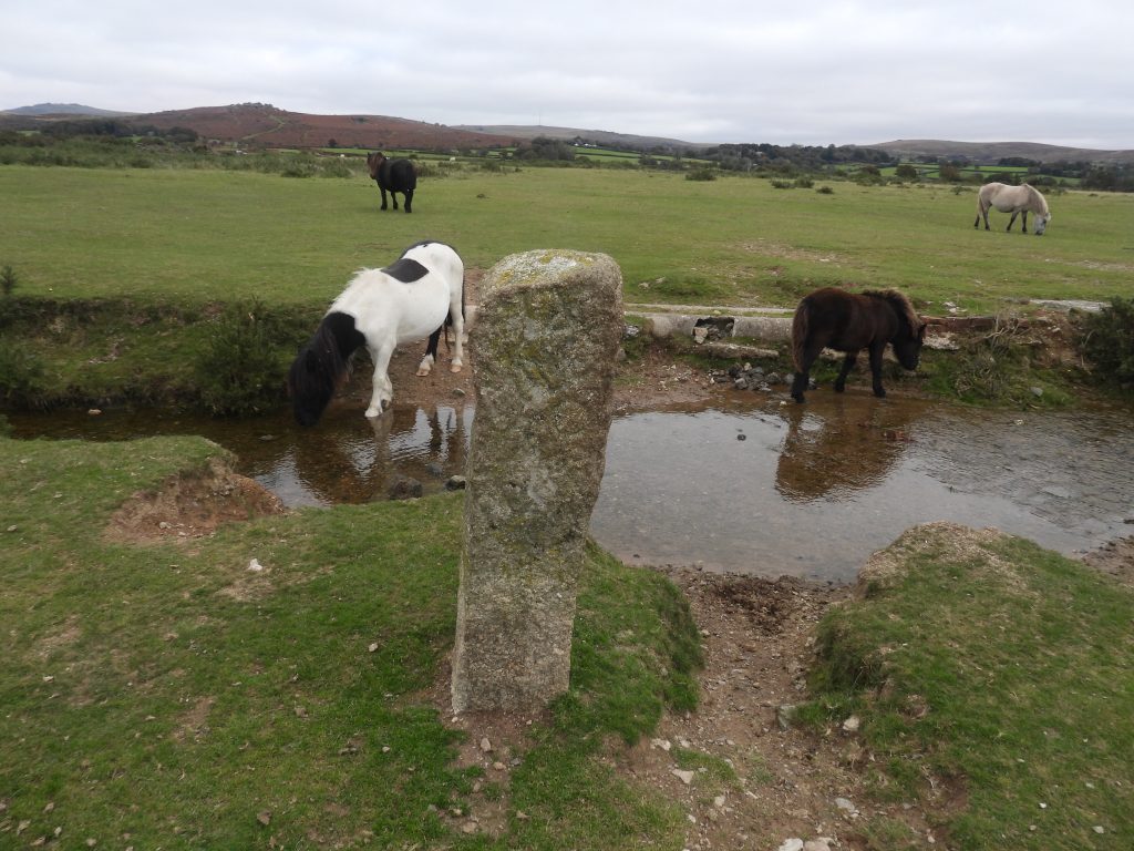 1. 12 Miles to Plym - Plasterdown a