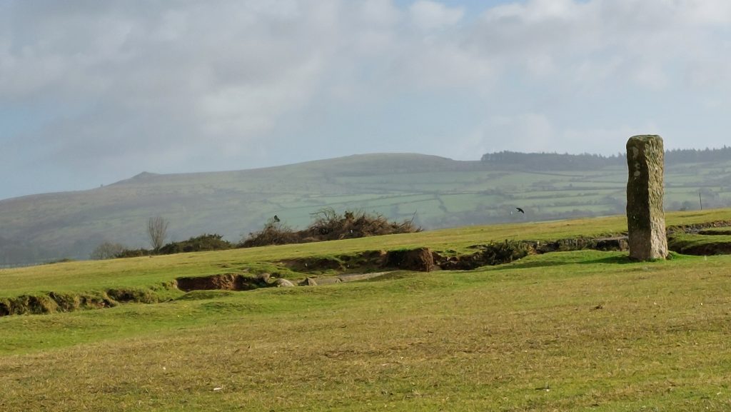 1. 12 Miles to Plym - Plasterdown c