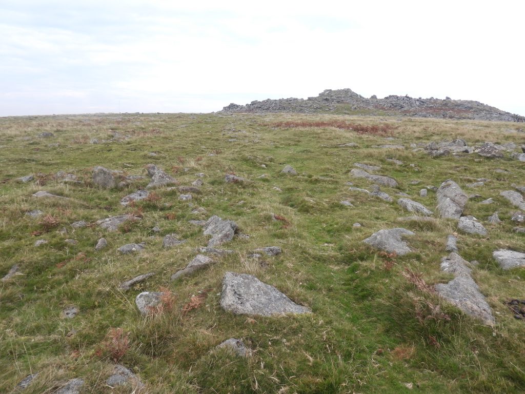 1. Walkhampton Common Reave a