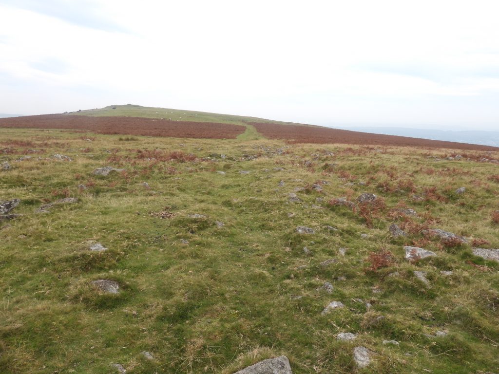 1. Walkhampton Common Reave b