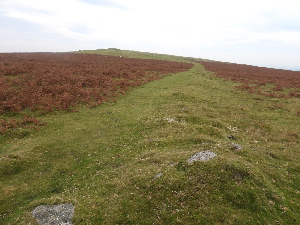 1. Walkhampton Common Reave c