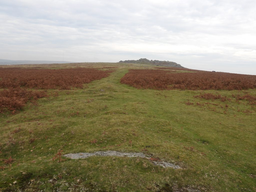 1. Walkhampton Common Reave d